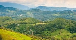 Обе ветви власти Краснодарского края настроены на поддержку животноводства