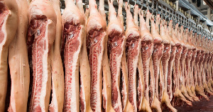 Беларусь запретила импорт продукции свиноводства из двух регионов Росси