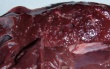 В Башкирии пресечена продажа зараженных мясных изделий