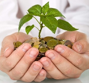 Минсельхоз РФ одобрил пензенские инвестпроекты на 9,3 млрд рублей