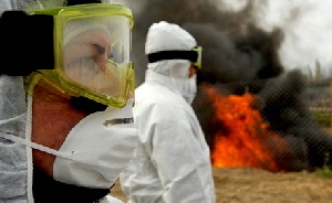 Вирус африканской чумы свиней продолжает распространяться по территории стран-членов ЕС