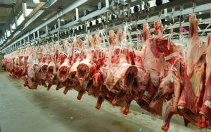 Австралийская мясная промышленность движется к новому рекорду