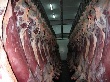 Брянский Россельхознадзор за сутки не пропустил в Россию 50 тонн мясной продукции
