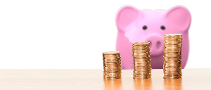 Госдума приняла законопроект о госрегулировании цен на социально значимые товары