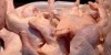 Более 240 тонн опасной для здоровья курятины уничтожили в Приморье