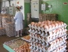 Птицефабрика «Менделеевская» и «Россельхозбанк» подписали кредитное соглашение