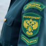 Росприроднадзор требует с «Белгородской свинины» Владимира Зотова 4 млн рублей