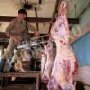 В Мурманском регионе недостаточно пунктов для забоя домашних животных В Мурманском регионе недостаточно пунктов для забоя домашних животных