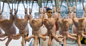 CP Foods кружит над Китаем