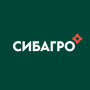 Белгородский свинокомплекс «Сибагро» возобновил поставки мясной продукции в Беларусь