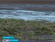 Существующая система страхования урожаев отталкивает сельхозпроизводителя Существующая система страхования урожаев отталкивает сельхозпроизводителя