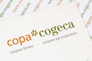 Европейские фермеры планируют новую акцию протеста 7 сентября в Брюсселе