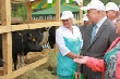 Нижегородский министр вручит гранты начинающим животноводам