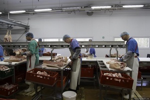 В Псковской области цех по переработке мяса ООО «ПсковАгроИнвест» вышел на полную мощность 