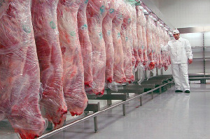 Транзит 14 тонн белорусского мяса запретили в Псковской области