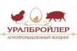 «Уралбройлер» может быть продан агрохолдингу из Пензенской области