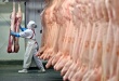 Эксперт: Дефицит позволит увеличить производство мяса