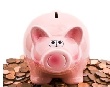 Аналитики прогнозируют «осторожный рост мировой свиной индустрии»