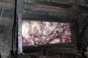 800 кг польского мяса везли в Калининград под моторным отсеком автобуса