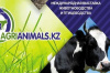 AGRIANIMALS.KZ AGRIANIMALS.KZ