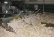 Обновление автопарка и выпуск нового вида мясопродукции на ОП ПО «Ново-Ездоцкая»