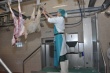 В Казахстане запущен новый современный мясоперерабатывающий комплекс 