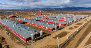 В 2021 году свинокомплекс «Восточно-Сибирский» начнет строить вторую очередь