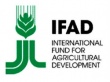 Россия вступает в Международный фонд сельскохозяйственного развития