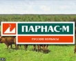 Долг петербургского мясокомбината «Парнас-М» — 2 млрд рублей