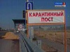 На мосту через Волгу работает пост ветеринарно-санитарного контроля