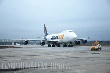 Партию племенных свиней «Золотая Нива» перевезла из США на Ставрополье самолетом Партию племенных свиней «Золотая Нива» перевезла из США на Ставрополье самолетом