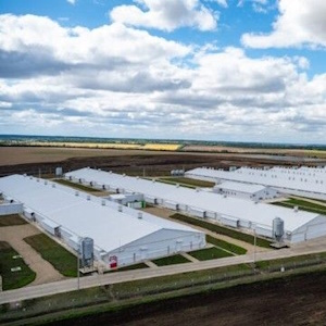 Tanmiah открыла новый птицеперерабатывающий завод в Саудовской Аравии