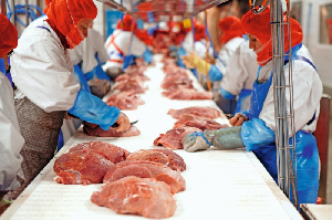 Казахское товарищество «Сыр маржаны» готовится экспортировать мясо в ОАЭ Казахское товарищество «Сыр маржаны» готовится экспортировать мясо в ОАЭ