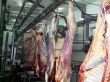 В Томском регионе появится новый цех по убою скота