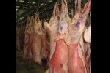 «Дорогое» мясо «Дорогое» мясо