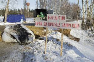 Вспышку АЧС в Тульской области называют самой крупной в стране