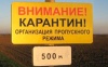 В Омскую область может прийти ящур