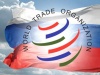 ВТО для Ставрополья: спад в свиноводстве, подъем в производстве зерна
