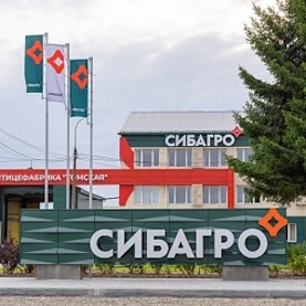 «Сибагро» нарастило объемы производства свинины в Бурятии в 2 раза