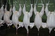 На ярмарках омичи стали запасаться мясом птицы На ярмарках омичи стали запасаться мясом птицы