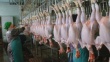 Производство мяса птицы в РФ в 2013 г увеличится на 6%