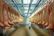 Производство мяса в Тамбовской области в январе-октябре выросло более чем на 40%