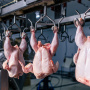 Более 4 млрд рублей проинвестируют в производство мяса курицы в Подмосковье