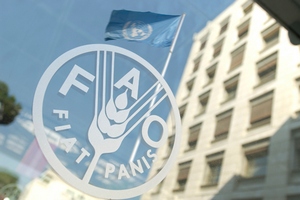 Украина бьет рекорды по импорту мяса - FAO Украина бьет рекорды по импорту мяса - FAO