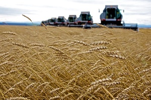 У аграриев Бурятии могут появиться новые рынки сбыта