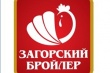 Прокуратура начала проверку задержек зарплаты на птицефабрике в Сергиево-Посадском районе Московской области