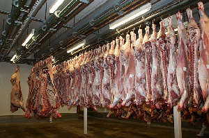 USDA сообщает о сокращении запасов мяса