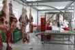 «Агро-Белогорье» запустило учебно-производственный цех мясопереработки