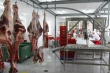«Агро-Белогорье» запустило учебно-производственный цех мясопереработки