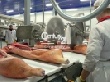 Будущее мясной отрасли: проблемы и решения Будущее мясной отрасли: проблемы и решения